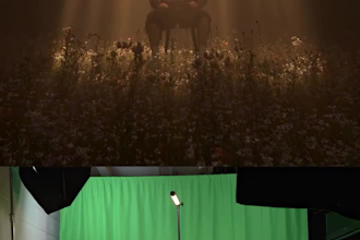 do any 3d green visual effect composite and any cgi animation