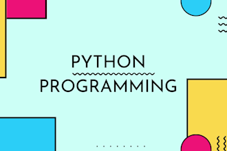 give professional python programming services custom code and scripting