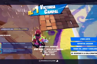 be your fortnite coach and friend to learn, talk and chat