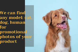 do product photography and video with dog model
