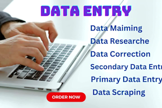 do data mining data correction primary and secondary data entry jobs low price