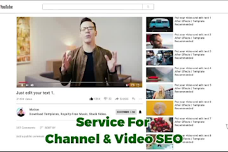 do expert youtube SEO optimizations for channel and videos