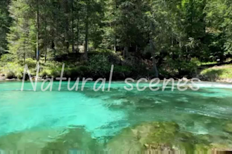 add watermark to your photos and videos
