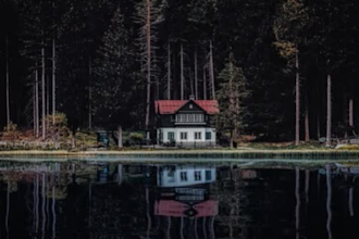animate static images with rippling water or rain and snow