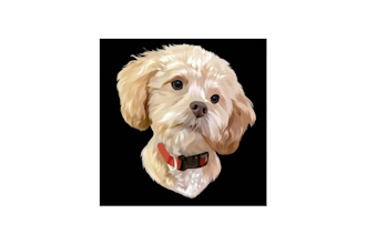 draw your pet into vector art