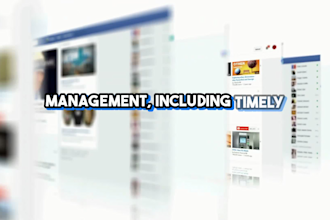 do expert social media management for your business