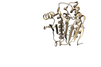 perform docking and advanced molecular dynamics simulation