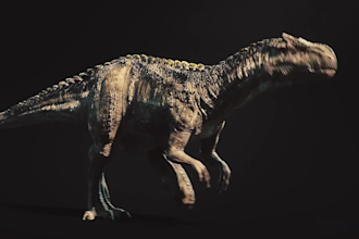 realistic 3d animal animation 3d animal model fur xgen 3d animal animation cgi