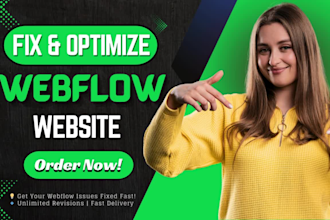 fix webflow bugs, responsive issues and seo optimize your website