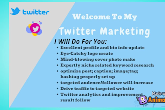 do expertly twitter marketing and tweet promotion