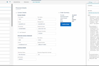 be your vlocity, omniscript and salesforce project support person