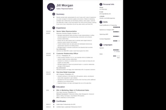create write professional resume cv