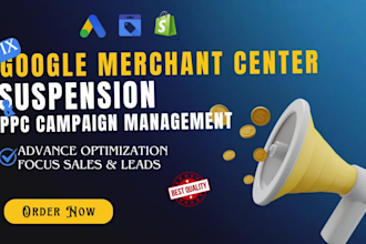 audit optimize PPC campaign google ads audits, merchant center suspension
