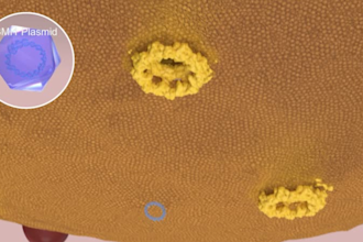 provide a professional 3d medical and scientific video