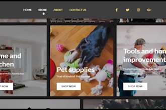 create a professional amazon brand approved website for you