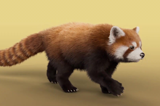 do realistic 3d animal animation, 3d animal model, 3d animal rigging, cgi fur