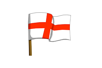 create animated cartoon type flag with your logo or text