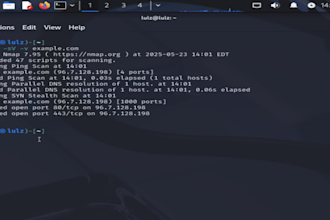 scan your website or business for security and data leaks