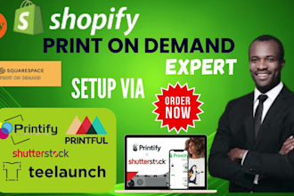 setup shopify, esty,squarespace printful,printfy galato,teelaunch store,esty pod