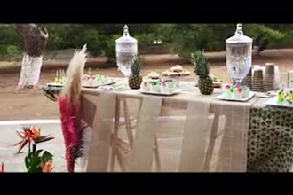 professionally edit a wedding teaser video in 24 hours