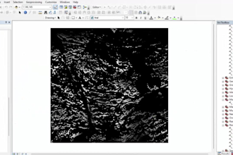 create gis maps and perform geospatial analysis using arcgis and qgis