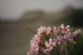 color grade your footages to movie cinematic look