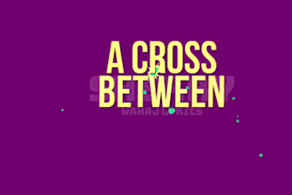 create a unique lyric video animated lyric video for your song