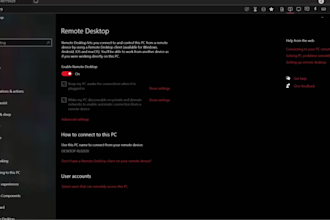 provide remote IT support and also windows and network