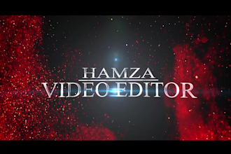 do video editing  in 24 hours in premiere pro
