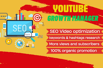 do best youtube video SEO expert optimization and channel growth manager
