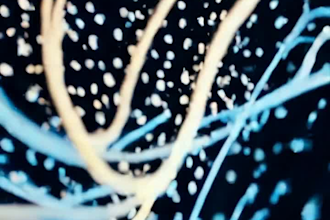 offer quantum education for innovative technologies
