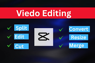 professionally edit, cut, convert, resize your videos