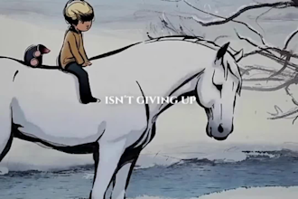 create 2d cartoon animation video or 2d meme animation video