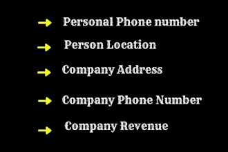 do email address for b2b leads within 8 hours