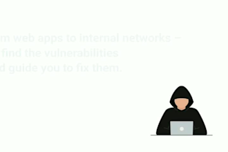 do professional penetration testing for vulnerabilities for website