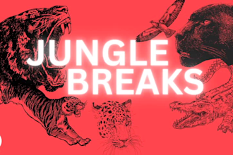 create high energy jungle music and drum and bass