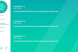 offer professionally editing of your CV, resume and cover letter