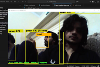 do custom yolo object detection and image classification