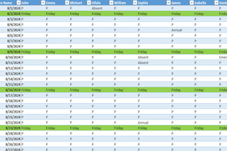 professional  admin for power query pivot table and all data solution
