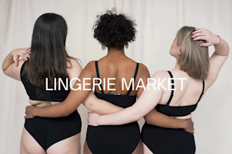 build a profitable lingerie store turnkey business website