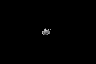 build streetwear website y2k website y2k shopify website for clothing brand