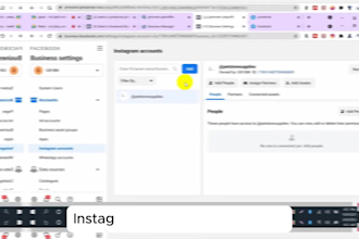 setup facebook and instagram ads campaign targeted audience