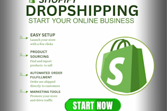build profitable shopify dropshipping store