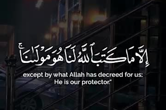 design quran recitation or islamic video with any subtitle