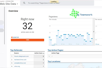 send you real worldwide human  website traffic visitors