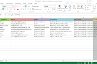 do company owner, director, c level linkedin lead generation