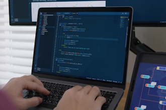 be your dedicated python programmer