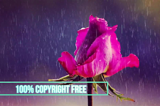 create  meditation  music video like waterfall, rain, ocean waves