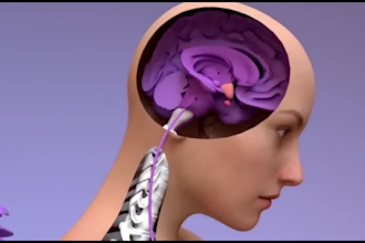 3d medical animation 3d explainer video 3d motion graphics 3d medical explainer
