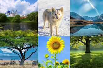 find royalty free licences stock photo, 4k quality